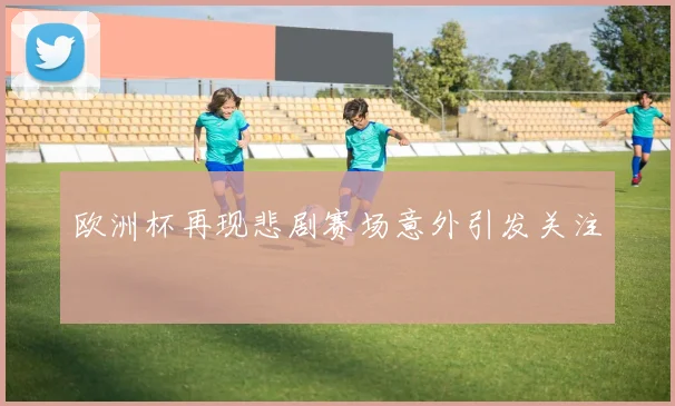 欧洲杯再现悲剧赛场意外引发关注