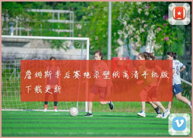 詹姆斯季后赛绝杀壁纸高清手机版下载更新