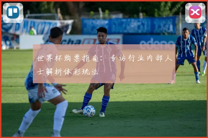 世界杯购票指南:专访行业内部人士解析体彩玩法